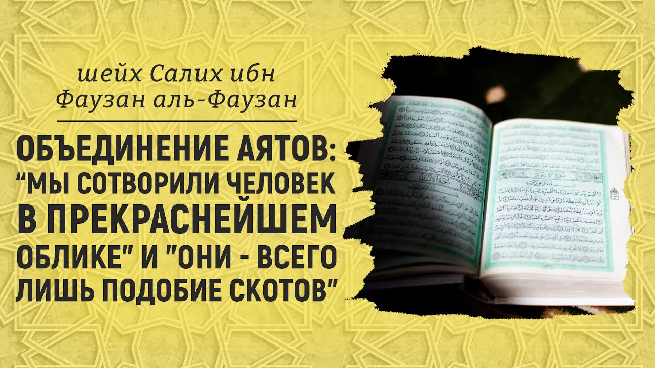 Мы сотворили человека в прекраснейшем облике сура 95. Мы сотворили вас парами на арабском. Они сотворили нас. Они сотворили нас. Они сотворили нас.