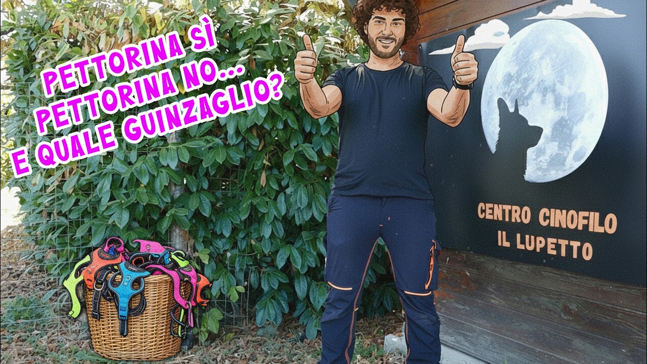 𝐆𝐮𝐢𝐧𝐳𝐚𝐠𝐥𝐢𝐨, 𝐜𝐨𝐥𝐥𝐚𝐫𝐞 𝐨 𝐩𝐞𝐭𝐭𝐨𝐫𝐢𝐧𝐚? 𝐋𝐚 𝐬𝐜𝐞𝐥𝐭𝐚 𝐟𝐚 𝐥𝐚 𝐝𝐢𝐟𝐟𝐞𝐫𝐞𝐧𝐳𝐚!