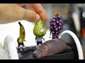 【音フェチ】 ガチャガチャ フルーツゾンビ 【ASMR】 Capsule toys FRUITS ZOMBIE Ear to Ear Whisper