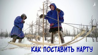 Великий кочевник Няду. Как поставить нарту.