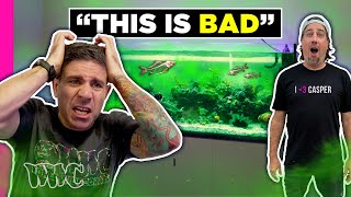 The WORST Fish Tank We've Seen!!