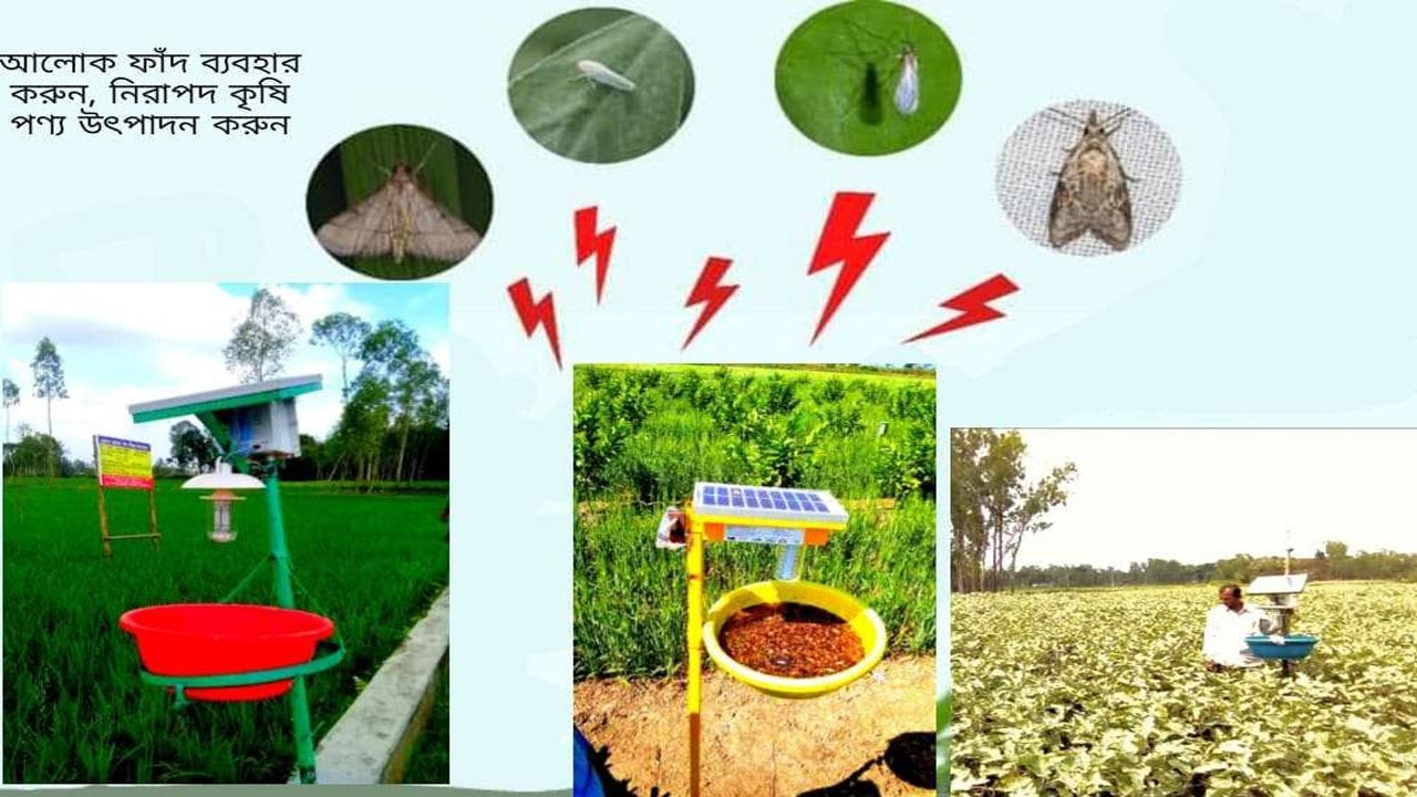 আলোক ফাঁদ স্থাপন