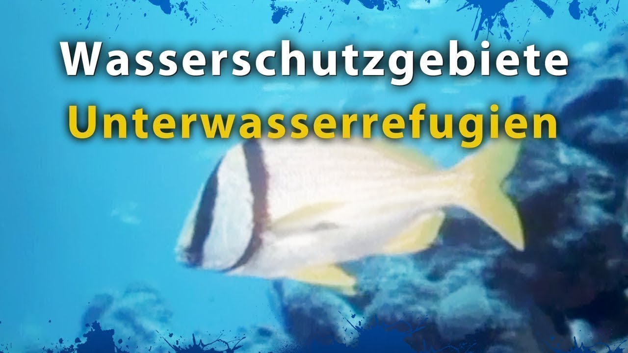 Wasserschutzgebiete - Unterwasserrefugien - Film