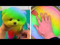 1 Hour Oddly Satisfying Video that Relaxes You Before Sleep - Most Satisfying Videos 2021