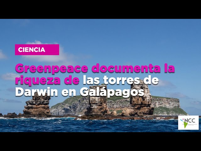 Greenpeace documenta la riqueza de las torres de Darwin en Galápagos