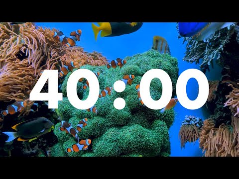    40       