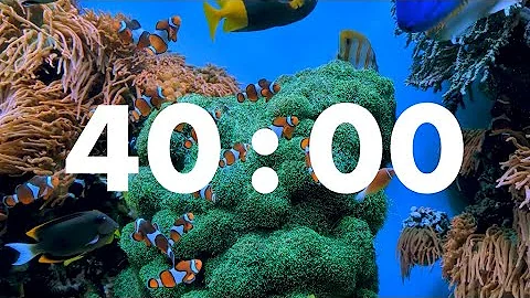 Productive Ocean Expedition: 40-Minute Underwater Fish Timer for Goal Attainment