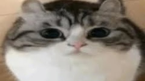 CHASE-A-THON MADNESS : DEN OF THE GODS LAP 1 BESTED