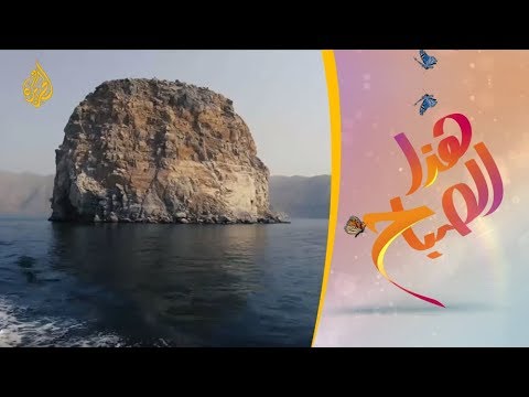 هذا الصباح رحلات بحرية على السواحل الع مانية الخلابة