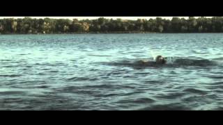 Raiders Of The Lost Shark Trailer 2014