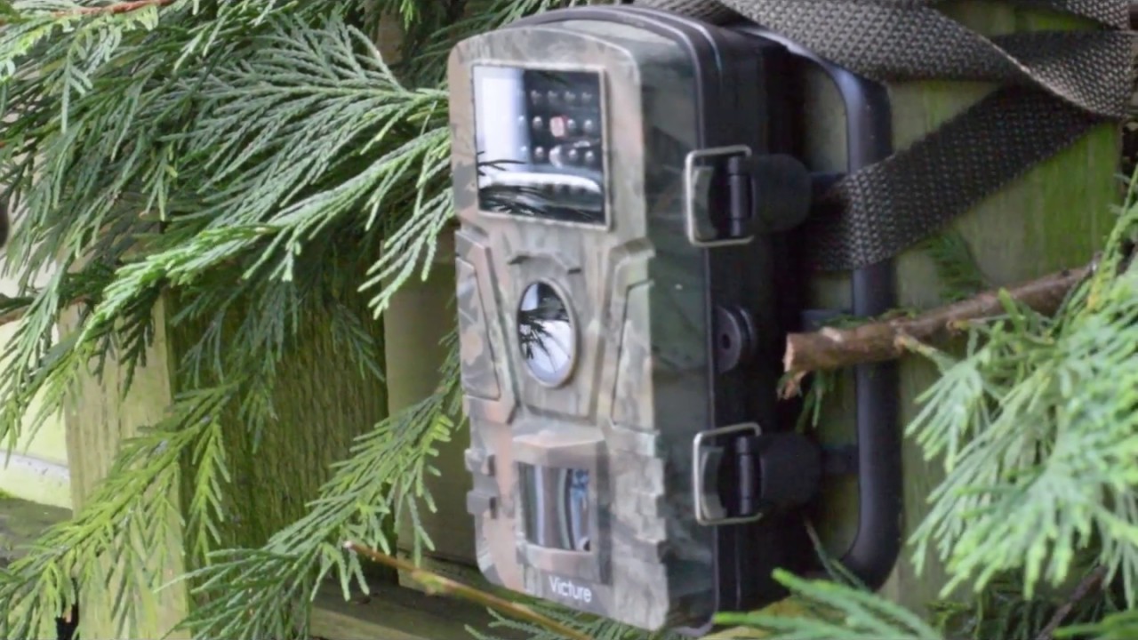 victure trail cam