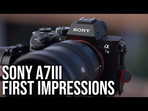 Sony a7III - Let's Talk about First Impressions! (NOT A REVIEW)