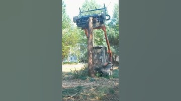 Forestry Mulcher Grinding Up a 20” Pine Tree!