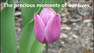 PRECIOUS MOMENTS - MATT MONRO