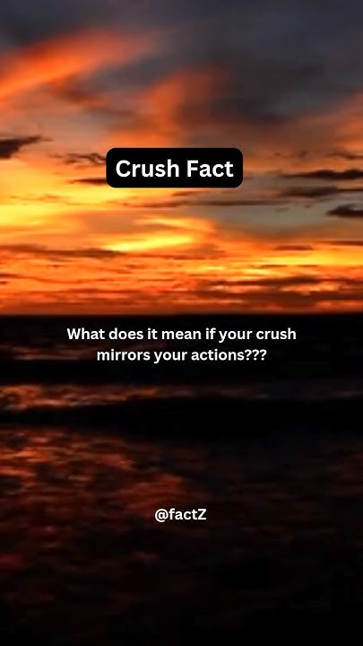What Does It Mean If Your Crush Mirrors Your Actions facts what-does-it-mean-if-your-crush-mirrors-your-actions-facts