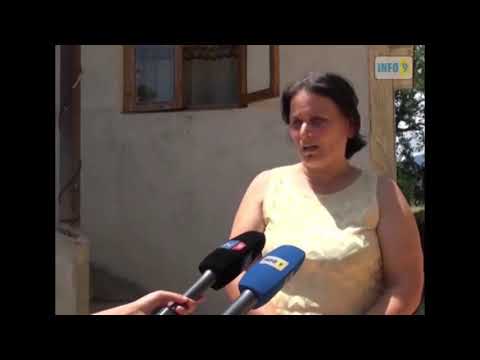 დავინახე გველი იდგა