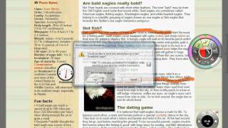 Famous Annotating a Webpage Wealth