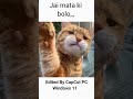 Jai Bolo 😂😂❌❌ #shorts #cat #like #funny #capuct #voice #musical #subscribe #follow