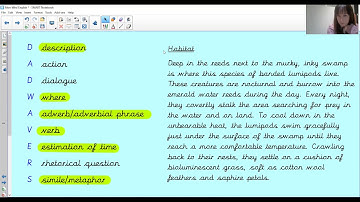 Non chronological report 3 (Year5)