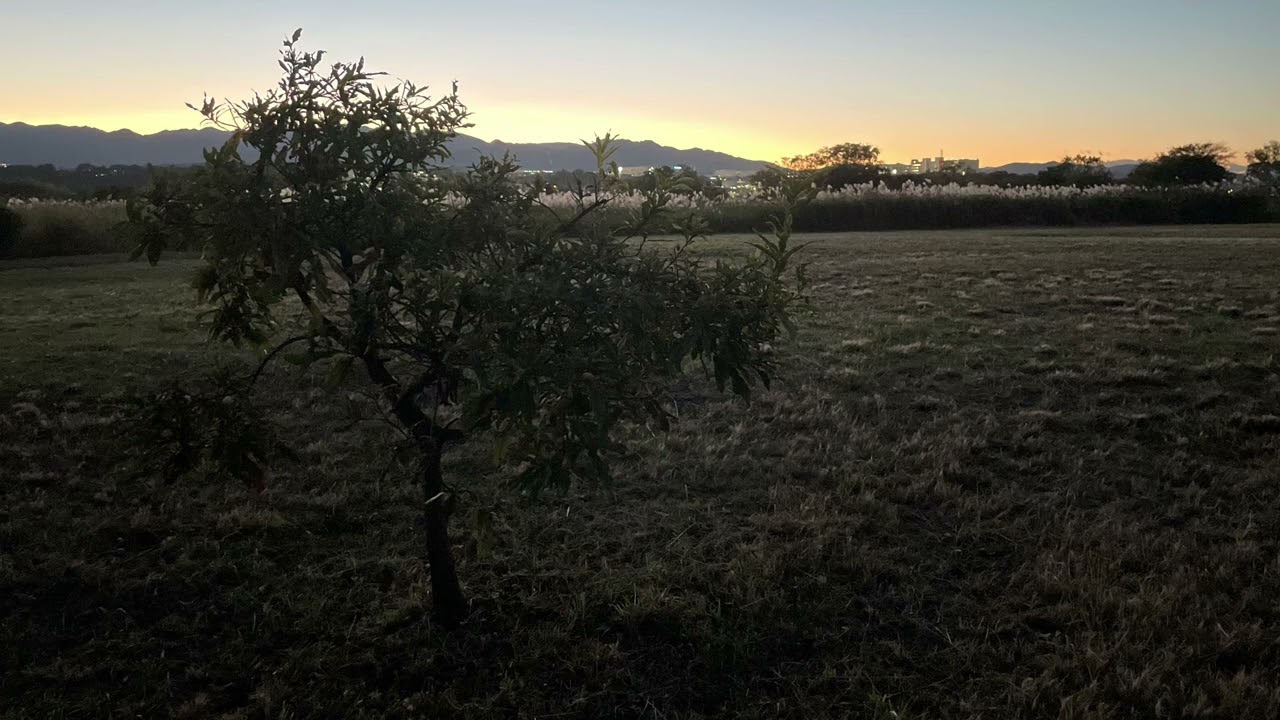 面clear [Mashira×VIRAbeatz]