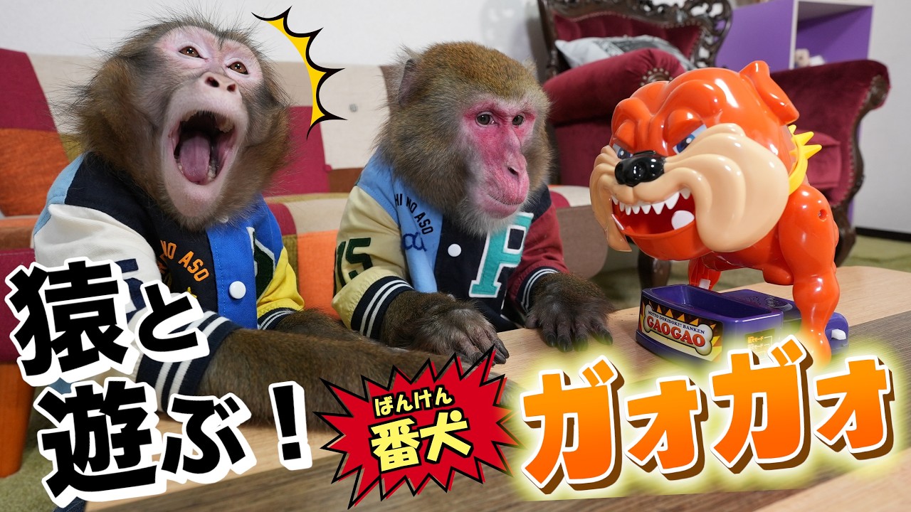 5年ぶりに「番犬ガオガオ」出したらお猿さんのプレイがうますぎて笑うしかないwwww