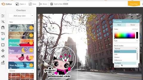 How to use picmonkey.com add your logo / watermark on your photo?