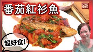 {ENG SUB} ★蕃茄紅衫魚 如何劏魚 簡單做法 ★ | Tomato pan fried fish