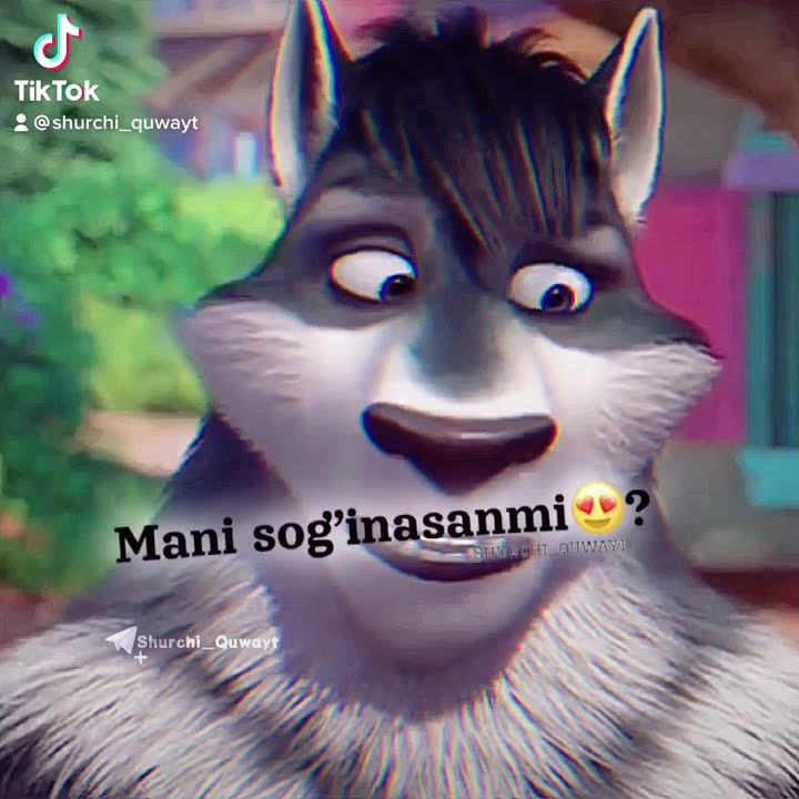 04.Bo’rilar va Qo’ylar #4 :sog’inasanmi ?❤️ #shurchi_quwayt #soginch