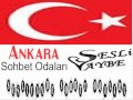 Ankara sesli, ankara sesli sohbet, Ankara sesli chat odaları