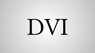 What Does "DVI" Stand For?