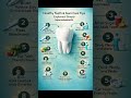 Dentists Don’t Tell You These Teeth &amp; Gum Care Secrets 😱 | Healthy Smile Tips #Shorts