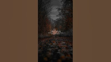 اكتب شيء تؤجر عليه | سورة الملك الآية 27-30 القارئ ماهر المعيقلي