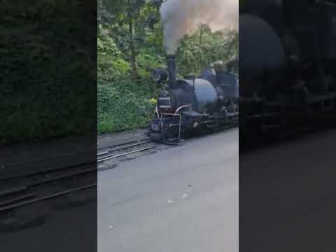 Darjeeling train😮😮 just looking like a wow😮😮 #Darjeeling #Sikkim #pk #movie #train #status #viral😮😮