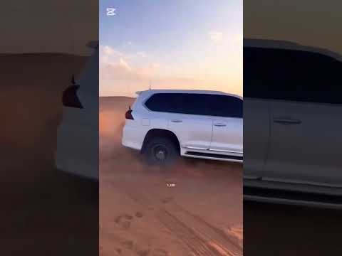 الكززس البيضاء عذاب العشاشيق لايك ابلور اشتراك ليصلكم كل جديد