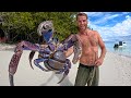 RARE GIANT LAND CRAB! Largest In the World