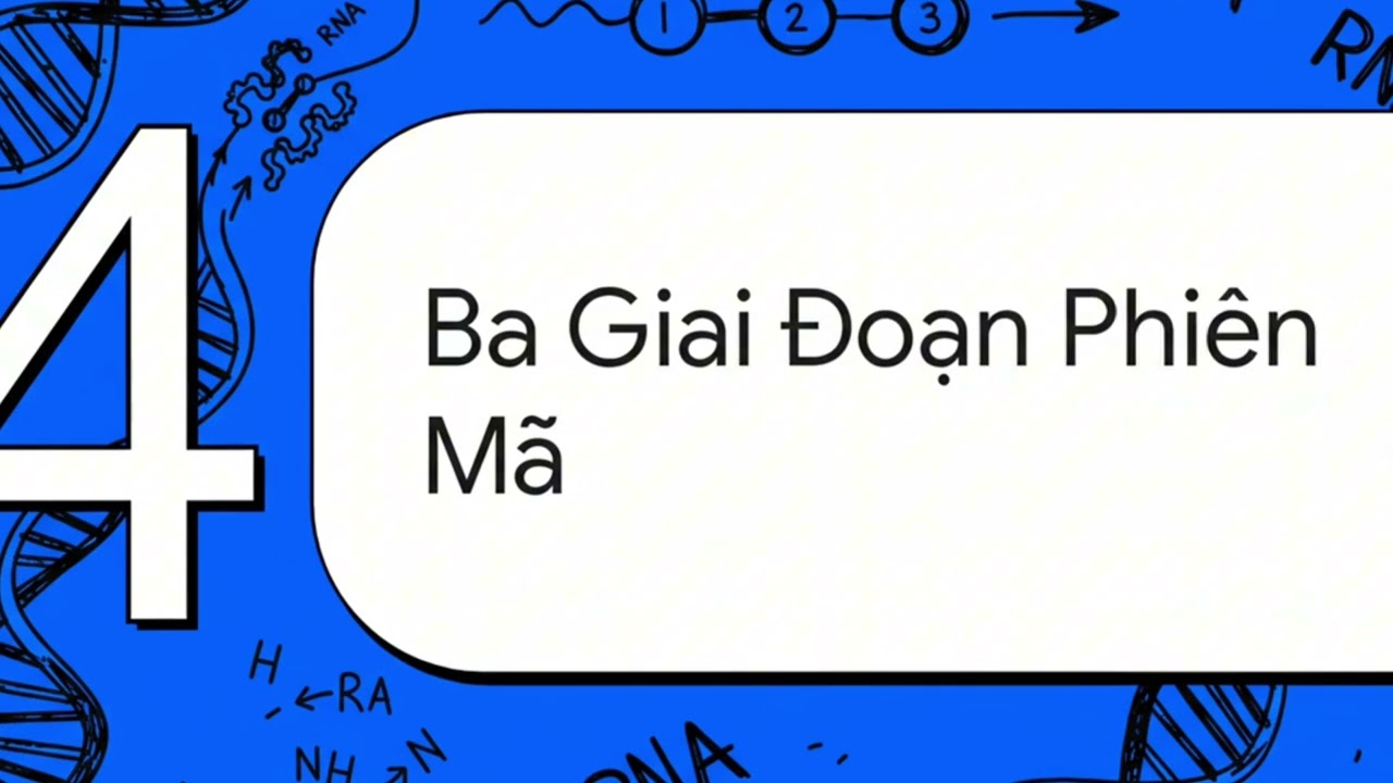 ADN VÀ QUÁ TRÌNH PHIÊN MÃ 