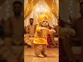 💃 বিড়াল পাঞ্জাবি পরে বিয়ে বাড়িতে নাচছে