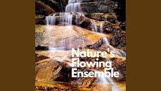 Flowing Ensemble of Peace