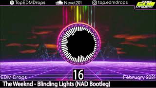 Top 20 Edm Drops February 2021