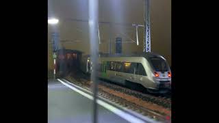 Talent 2 Hamsterbacke Br 243