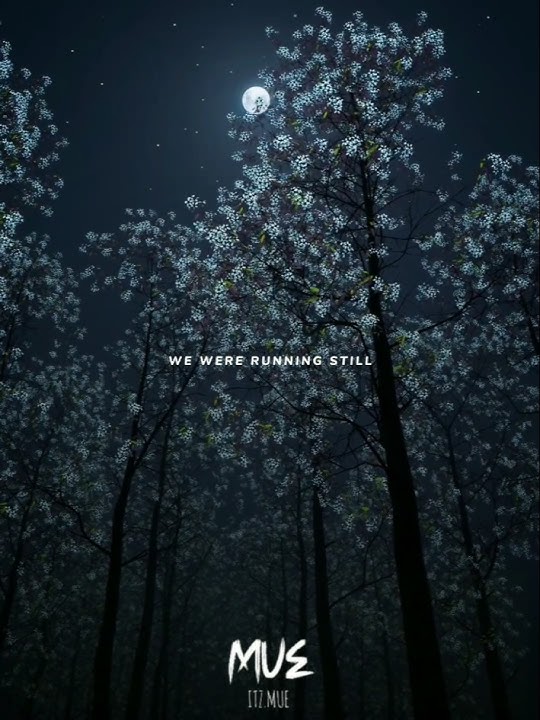 TheFatRat - Monody (feat. Laura Brehm) | WhatsApp Status #monody #thefatrat #status #shorts