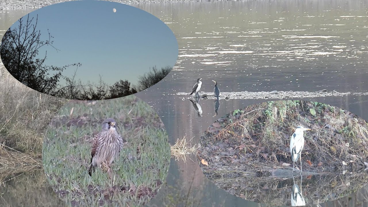 In der Abenddämmerung im Elbraum unterwegs