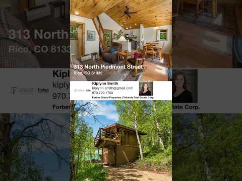 313 North Piedmont Street, Rico, CO home video tour