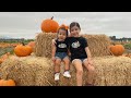 Pumpkin Patch 🎃