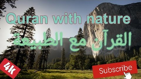 surat Al tawba ❗❗سورة التوبة the voice of ❗❗Wadee Al Yamani   صوت وديع اليمني