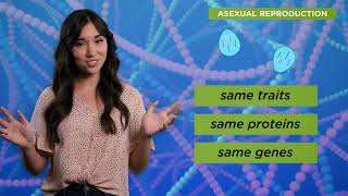 How Genes Are Inherited