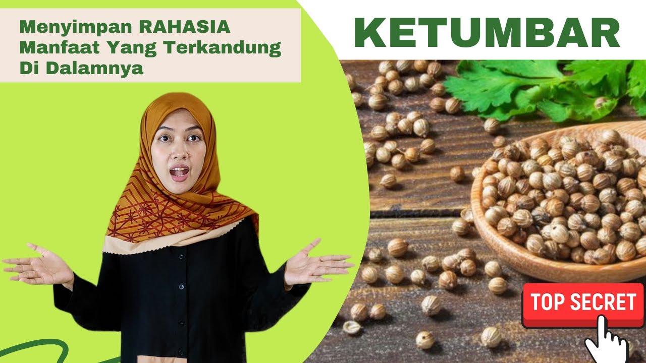 MANFAAT dan KHASIAT Ketumbar untuk Kesehatan, Rempah Sedap Mujarab
