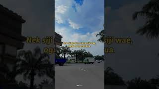 Denny Caknan ft Guyon Waton - Widodari (Story WA)