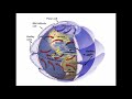 Hurricanes - A basic introduction into how and why they form (TEKS 8.10C)