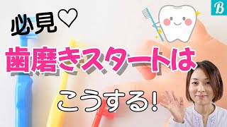 歯が生えてきた赤ちゃんへの【歯磨き】私はこうしていました！